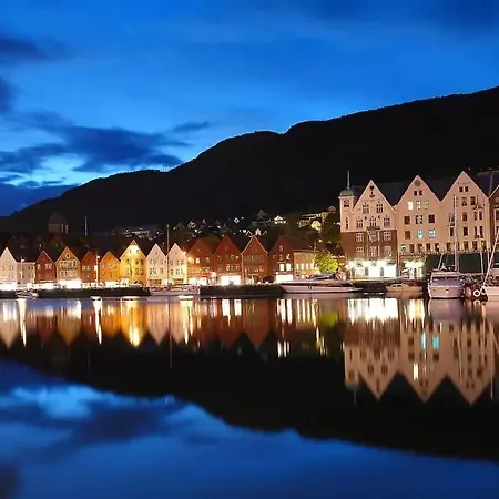 High Standard Spacious Near Bryggen *
